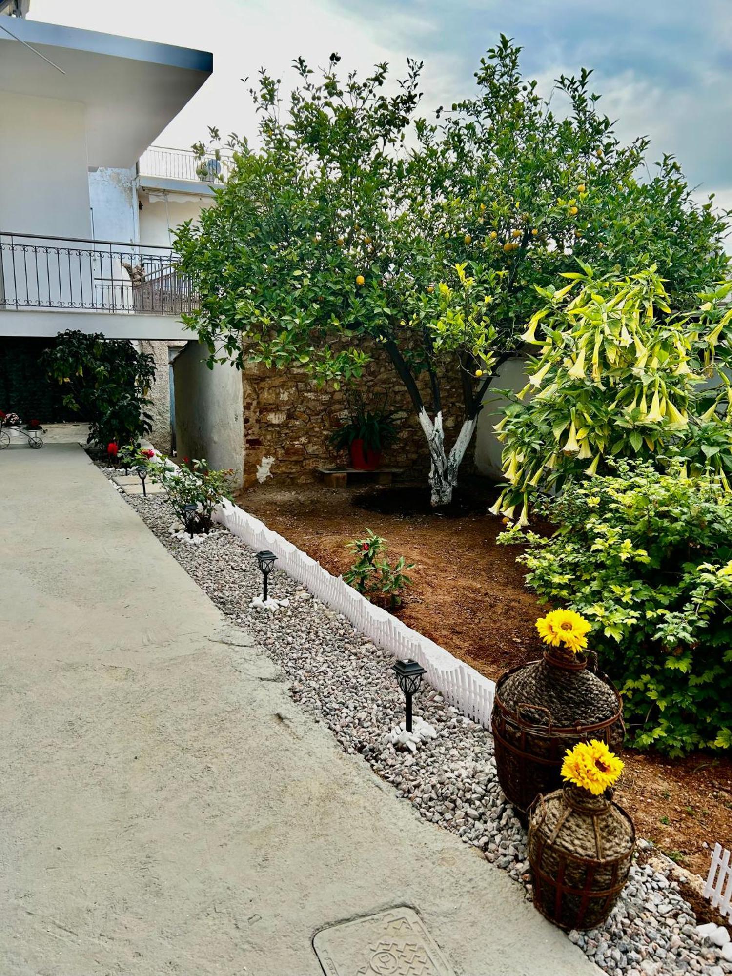 Flower House In Koropi-Near Airport Εξωτερικό φωτογραφία